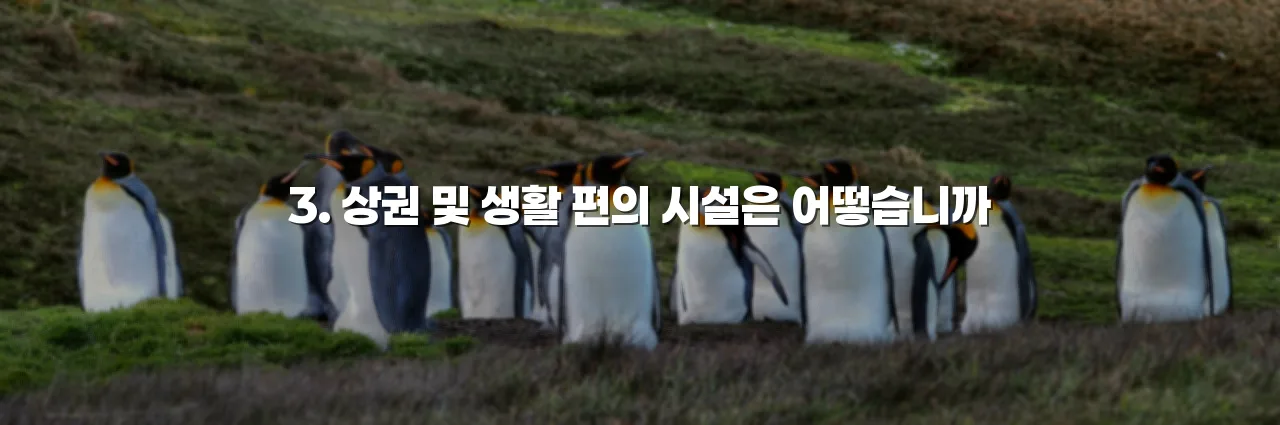 연제 첨단 광신프로그레스 포함 생활권 입지 분석 5가지