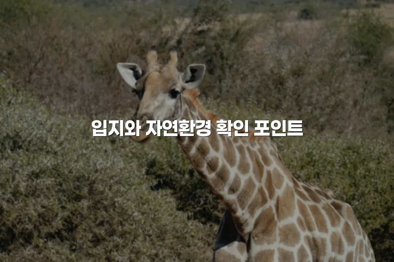 송암공원 중흥S클래스 예정지 주변 환경 체크리스트