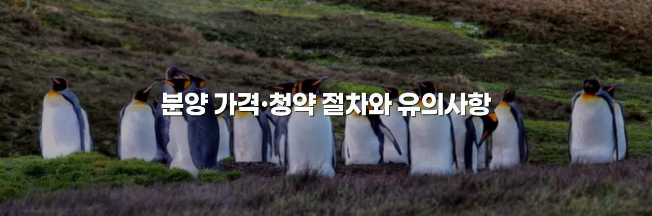 중앙공원 롯데캐슬 분양 흐름과 공급 구조 총정리 4 중앙공원 롯데캐슬 분양 흐름과 공급 구조 총정리