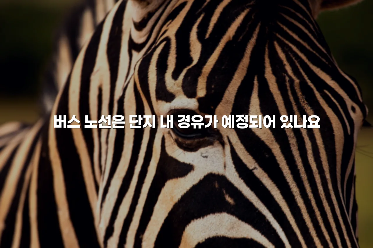 송암공원 중흥S클래스 교통 동선과 접근성 총정리 4 송암공원 중흥S클래스 교통 동선과 접근성 총정리
