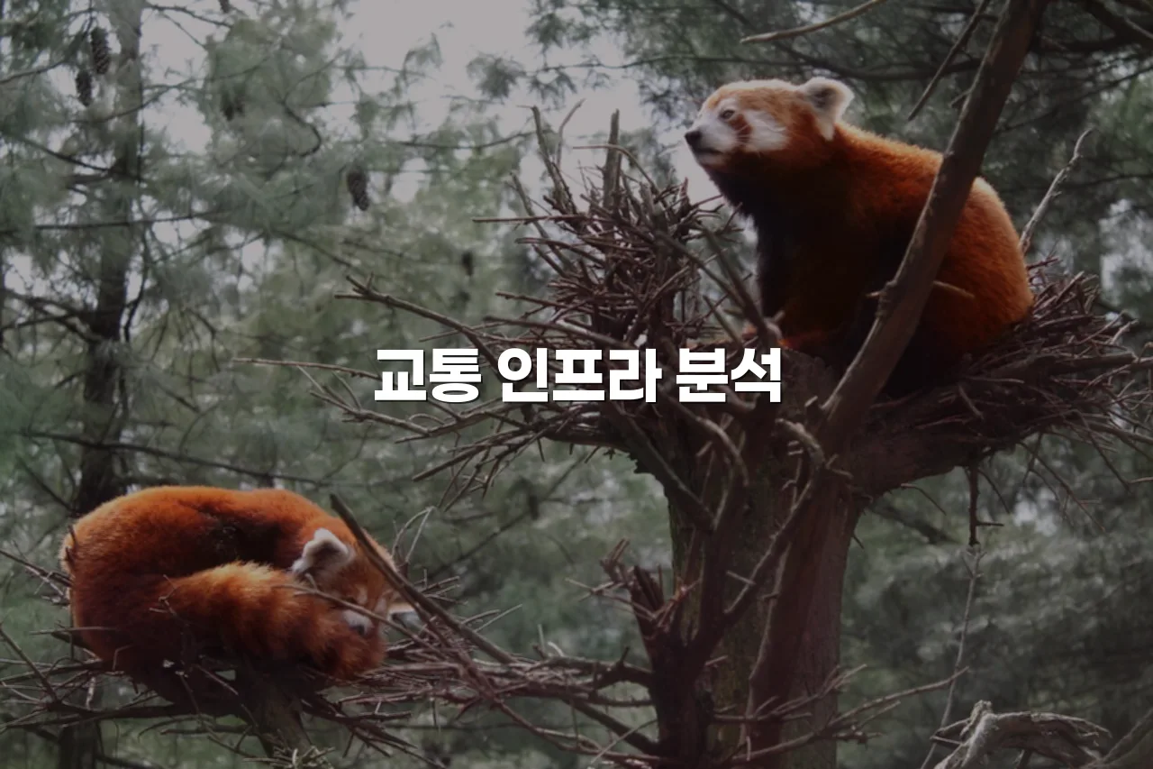 중앙공원 롯데캐슬 생활권 분석과 입지 체크리스트
