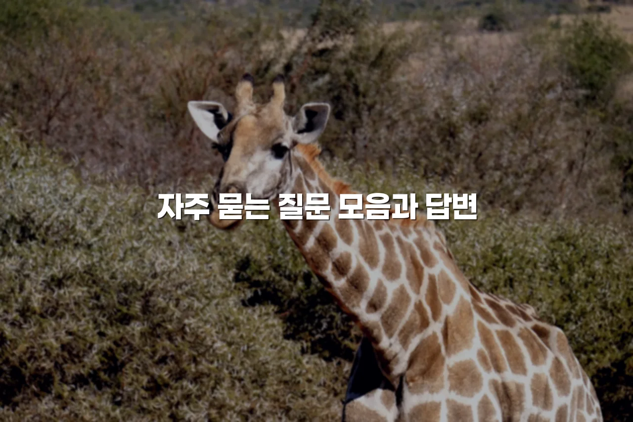 송암공원 중흥S클래스 예정부지 인근 환경 체크리스트 3 송암공원 중흥S클래스 예정부지 인근 환경 체크리스트