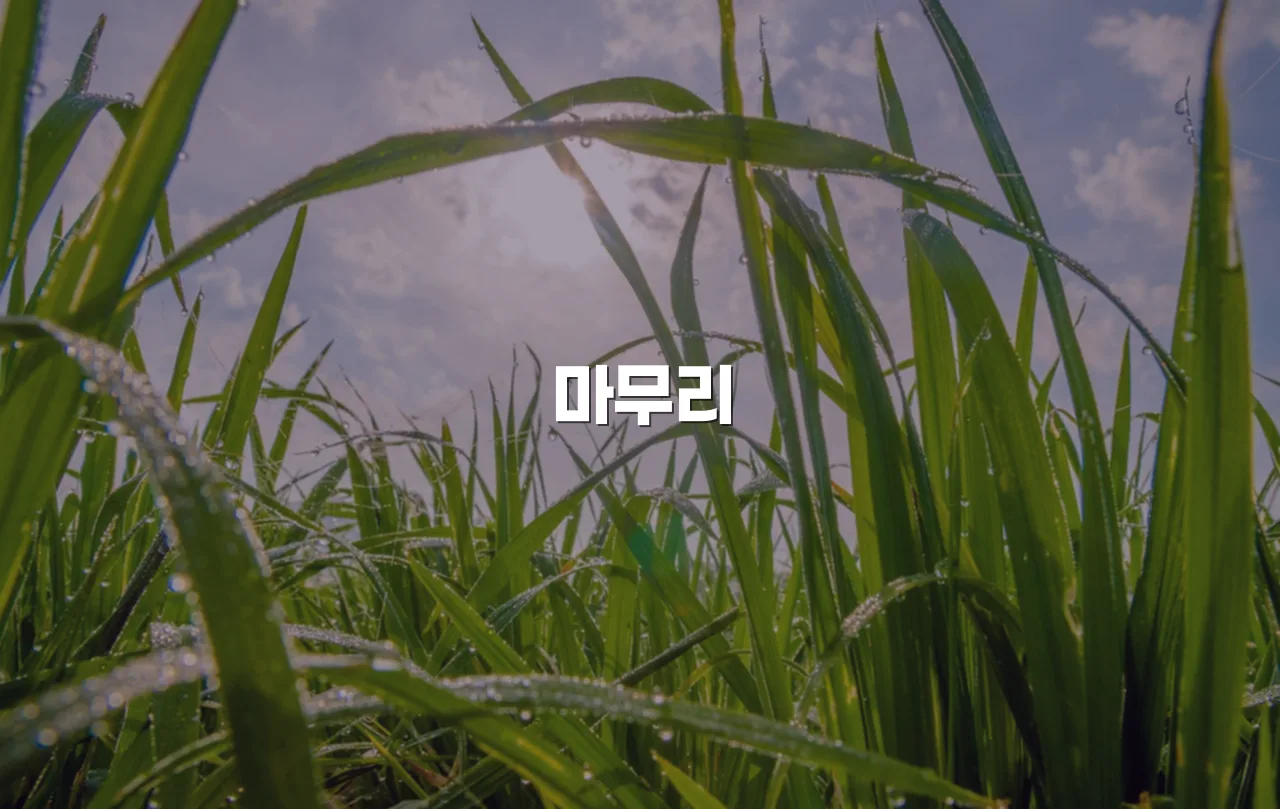 연제 첨단 광신프로그레스 권역 특성 총정리 5 연제 첨단 광신프로그레스 권역 특성 총정리