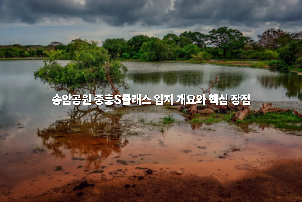 송암공원 중흥S클래스 입지 조건별 특징 총정리