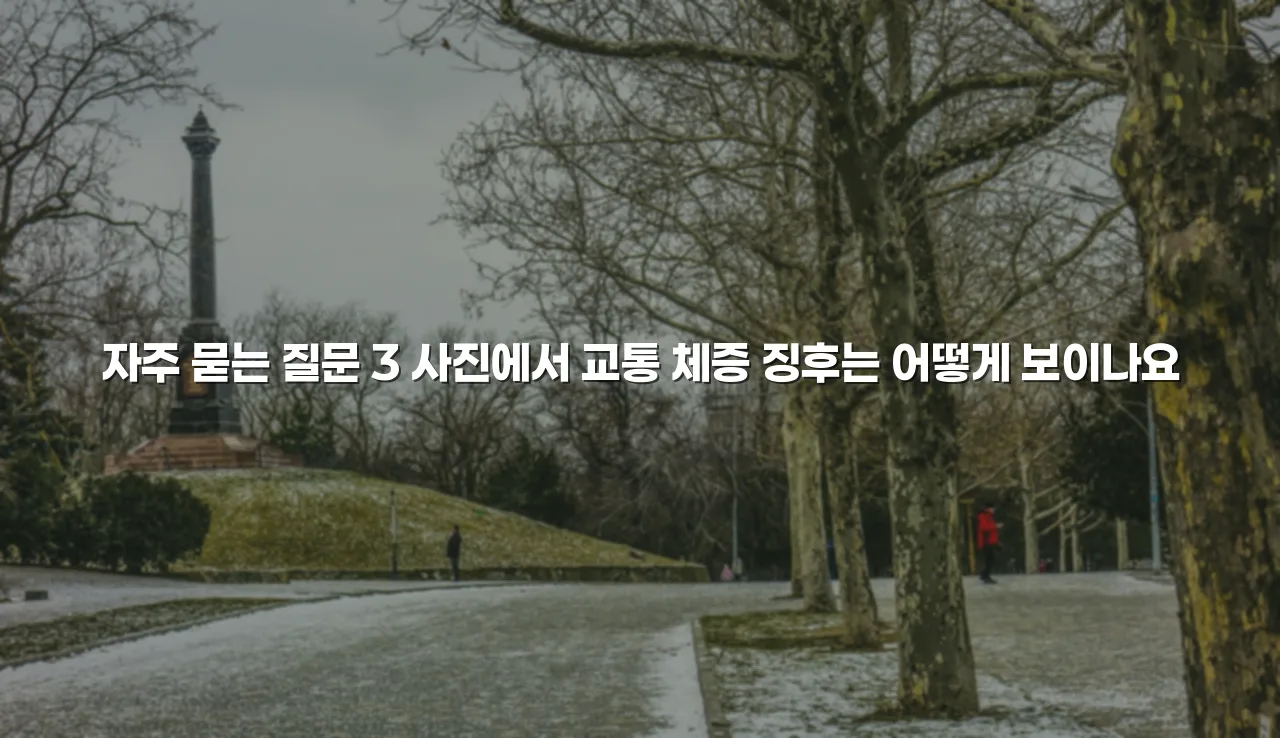 송암공원 중흥S클래스 조성 예정지 현장 사진 총정리 4 송암공원 중흥S클래스 조성 예정지 현장 사진 총정리