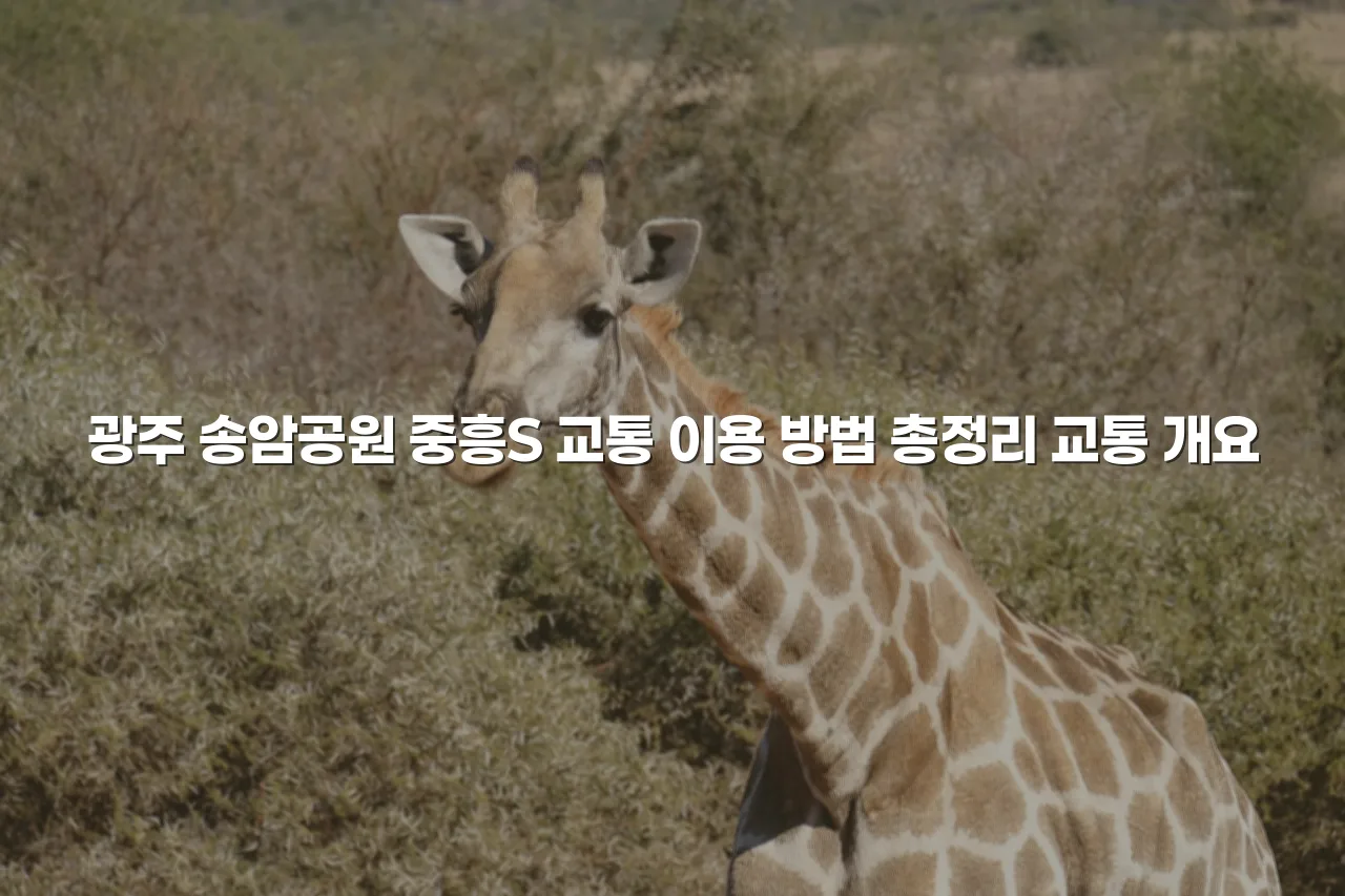 광주 송암공원 중흥S 교통 이용 방법 총정리