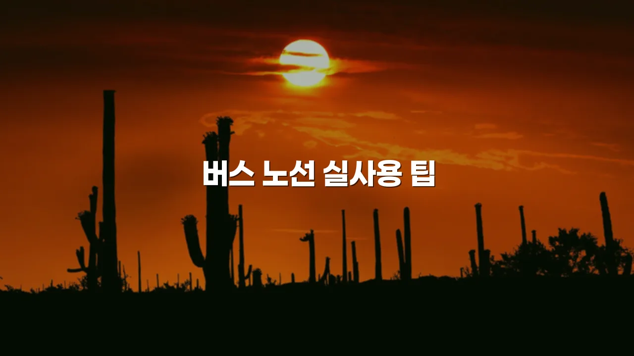광주 송암공원 중흥S 교통 이용 방법 총정리