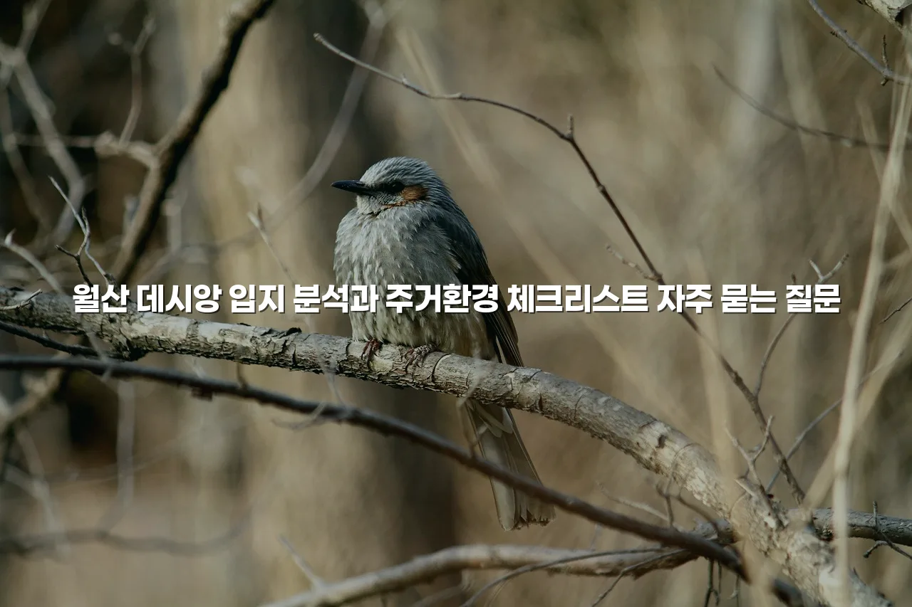 월산 데시앙 입지 분석과 주거환경 체크리스트