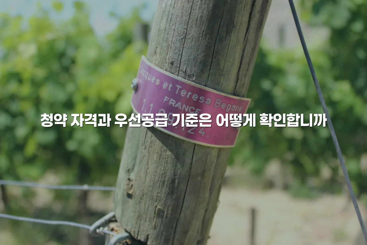 월산 더퍼스트 데시앙 입지 분석과 투자 체크리스트