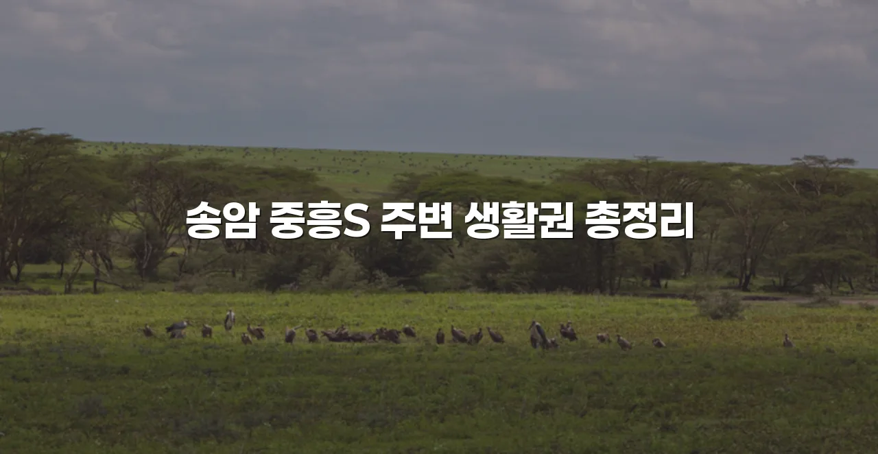 송암 중흥S 주변 생활권 총정리 3 송암 중흥S 주변 생활권 총정리