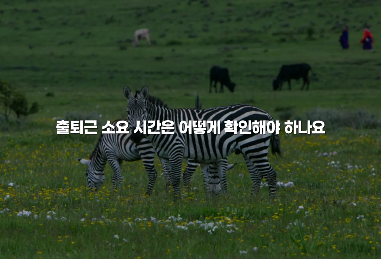 송암 중흥S 주변 생활권 총정리 4 송암 중흥S 주변 생활권 총정리