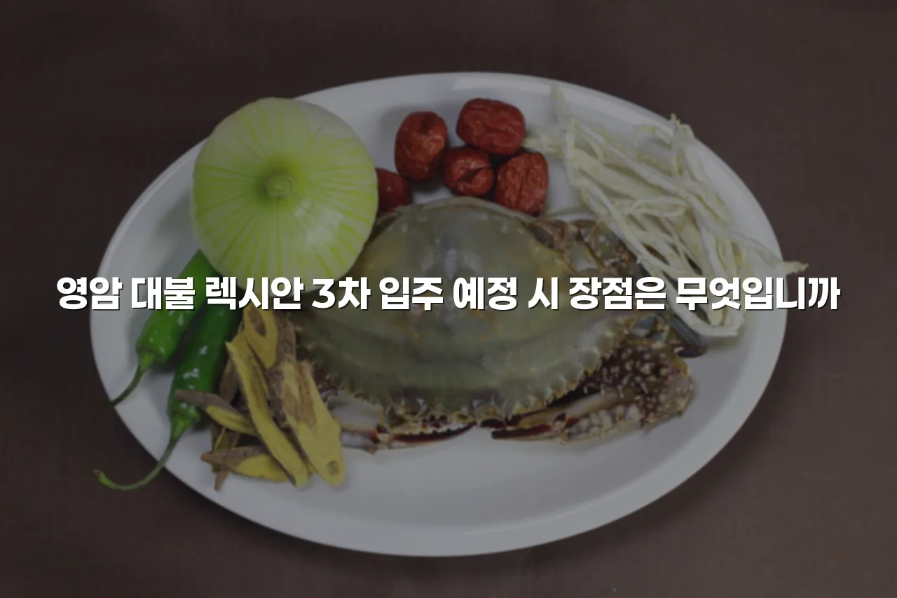 영암 대불 렉시안 3차 아파트 생활권 분석 총정리 4 영암 대불 렉시안 3차 아파트 생활권 분석 총정리