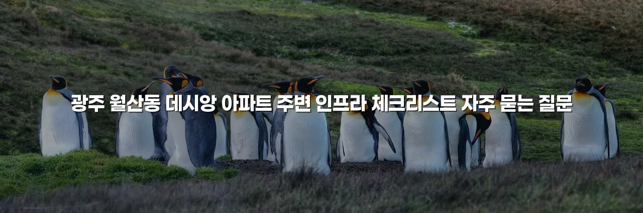 광주 월산동 데시앙 아파트 주변 인프라 체크리스트
