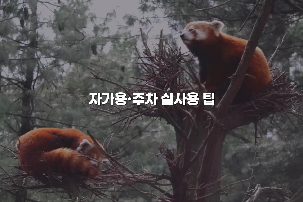 광주 중앙공원 롯데 아파트 주변 인프라 총정리 4 광주 중앙공원 롯데 아파트 주변 인프라 총정리