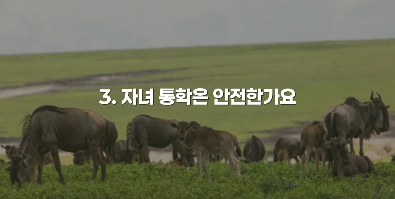 삼호 대불렉시안 인근 편의시설 총정리 6곳 5 삼호 대불렉시안 인근 편의시설 총정리 6곳