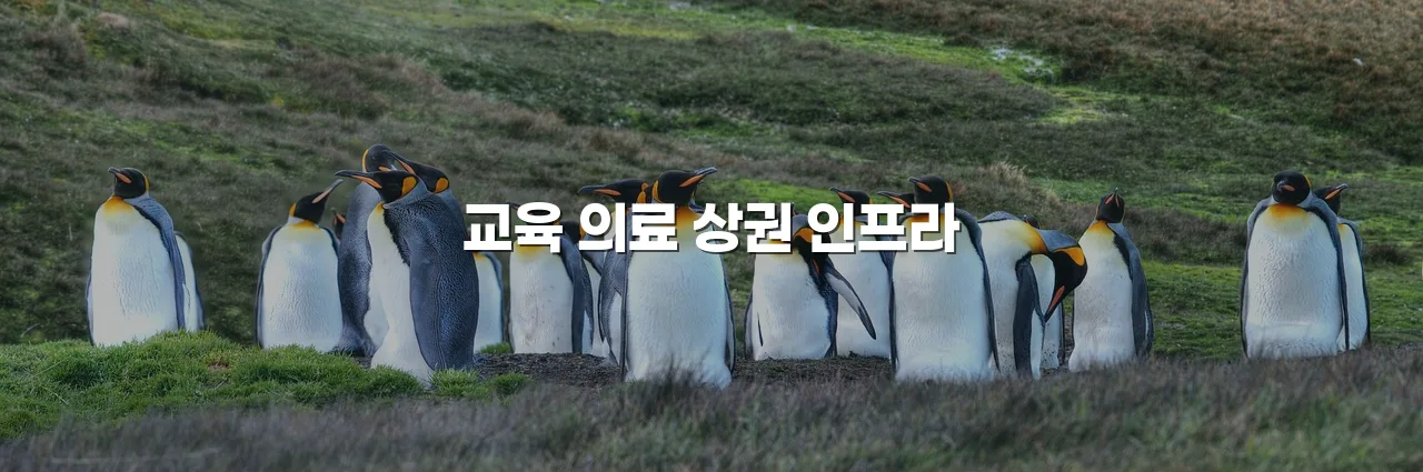 월산 아파트 데시앙 생활권 범위 총정리 5 월산 아파트 데시앙 생활권 범위 총정리