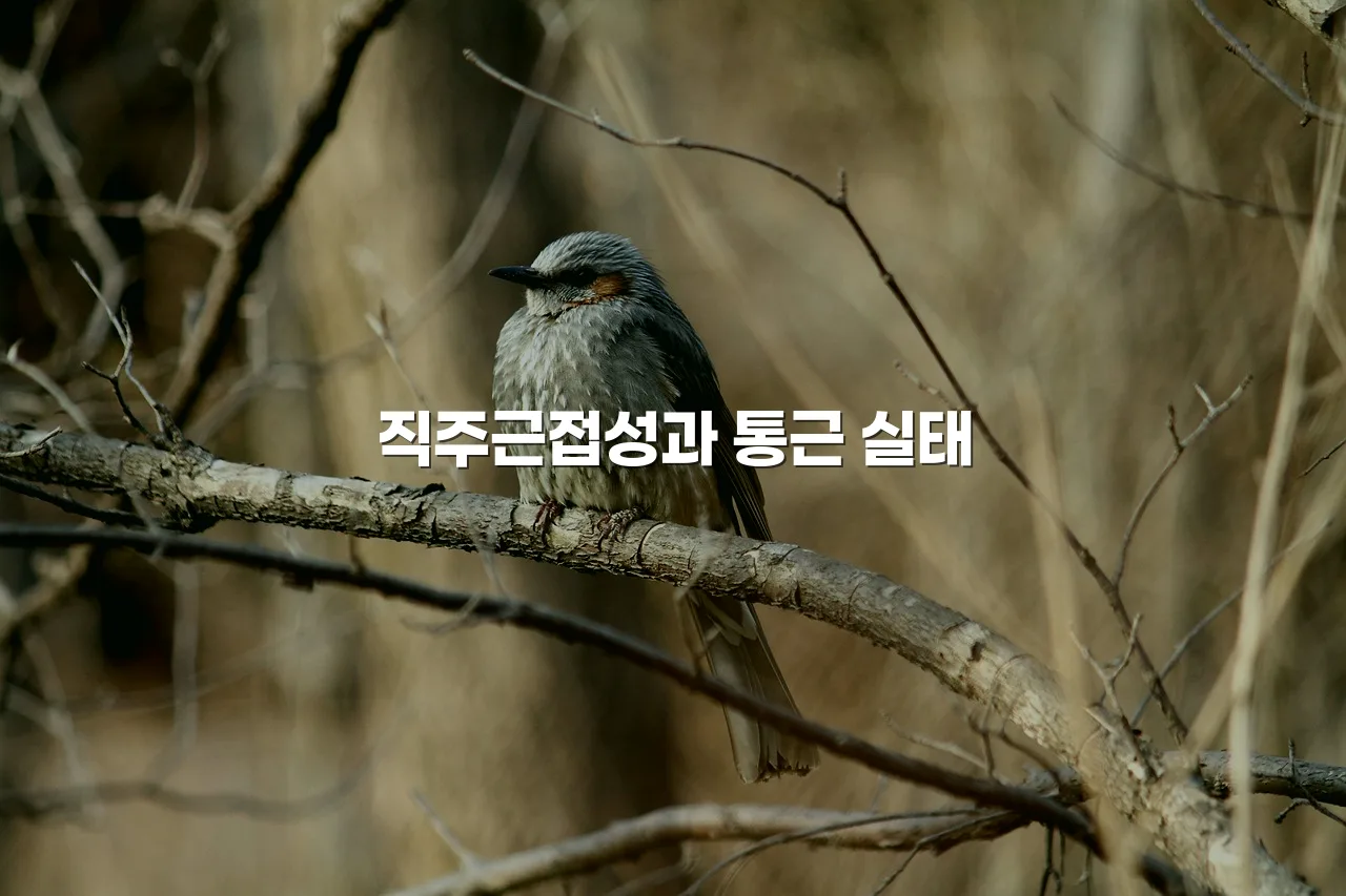 영암 대불 렉시안 주거환경 장단점 총정리 6 영암 대불 렉시안 주거환경 장단점 총정리