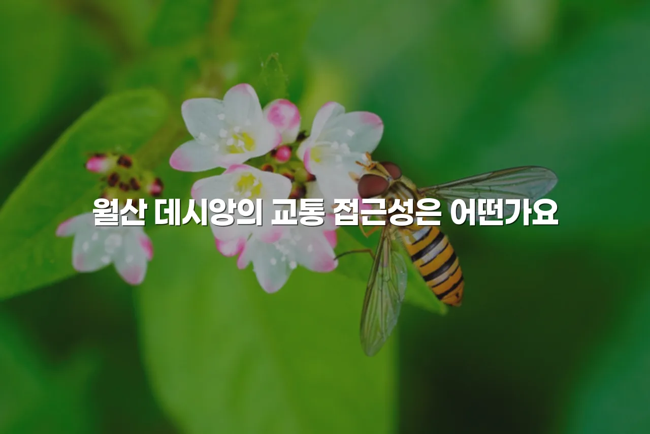 광주 월산 데시앙 주거환경 장단점 총정리