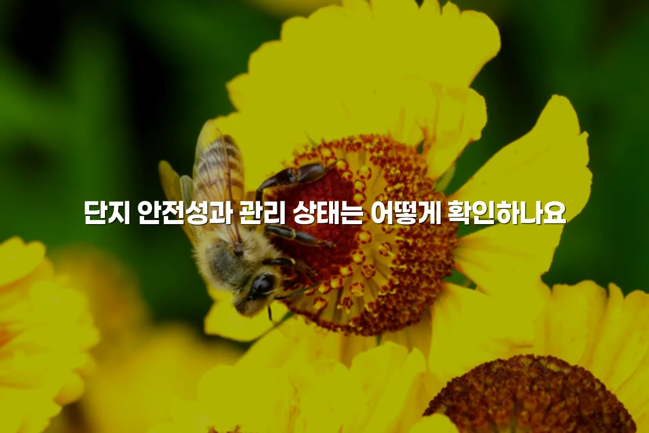 광주 월산 데시앙 주거환경 장단점 총정리