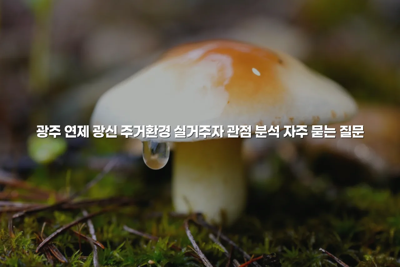 광주 연제 광신 주거환경 실거주자 관점 분석 3 광주 연제 광신 주거환경 실거주자 관점 분석
