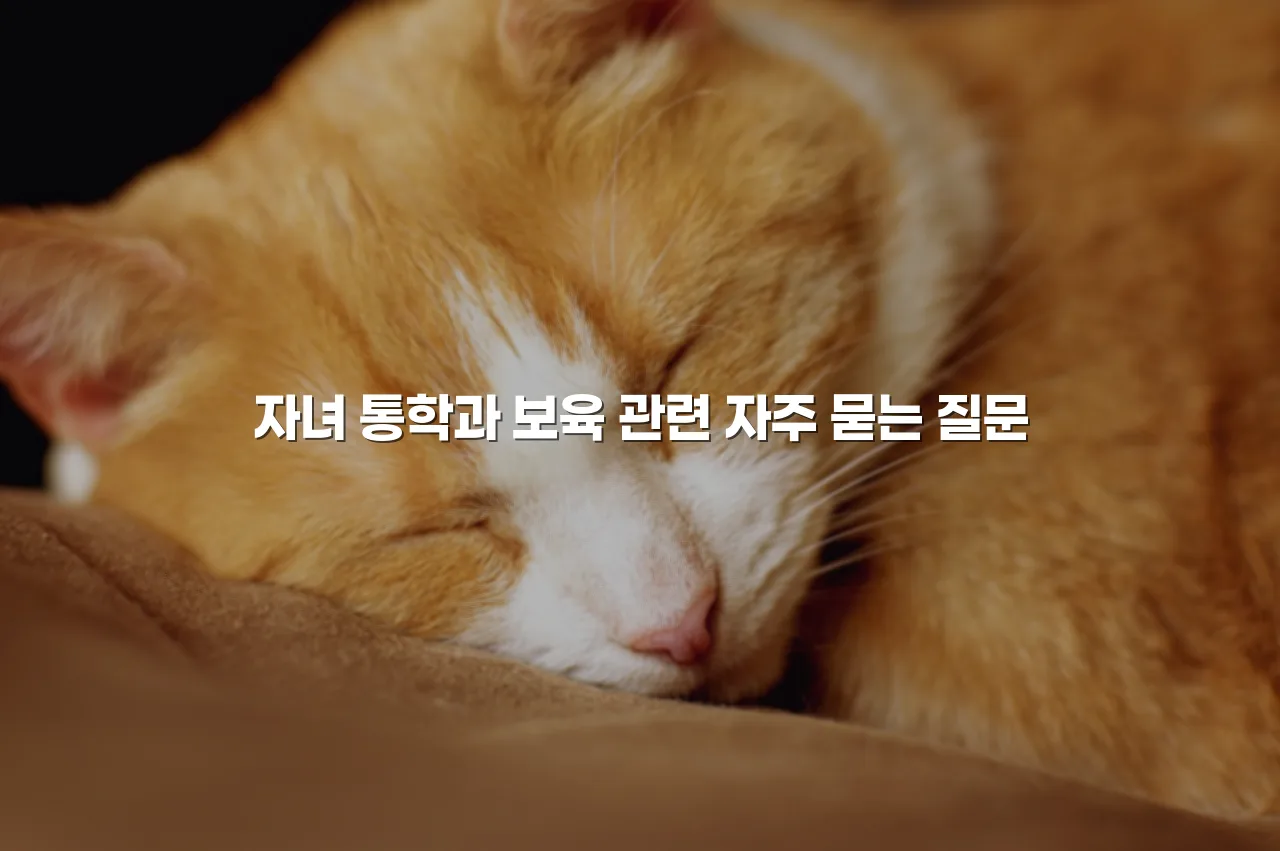 전주 라온프라이빗 인근 편의시설 체크리스트