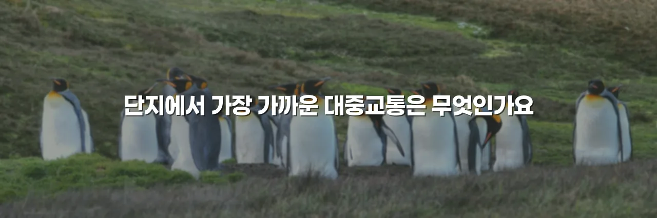 전주 라온프라이빗 입지와 주변환경 체크리스트 3 전주 라온프라이빗 입지와 주변환경 체크리스트